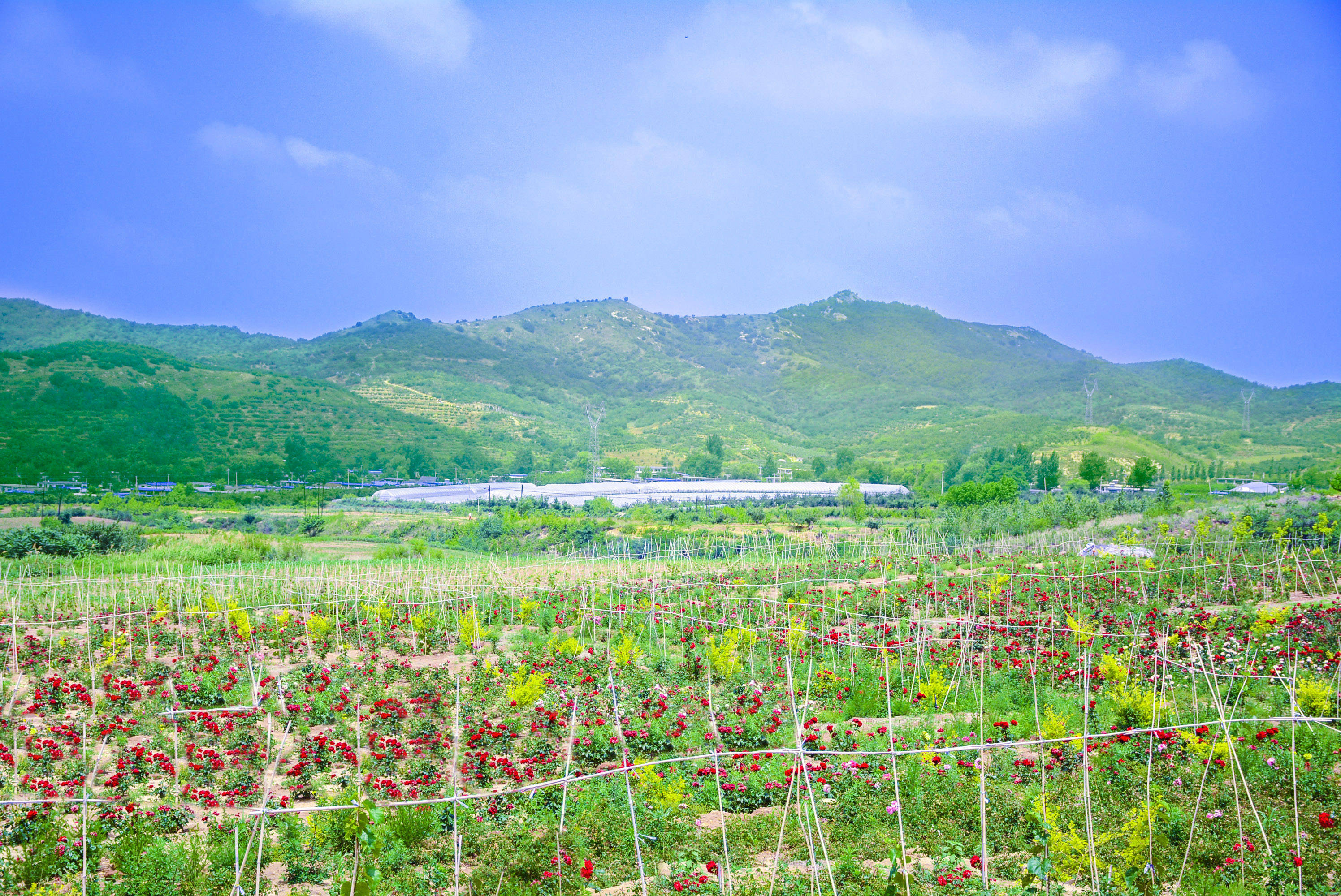 营口芙蓉山绿色文化理念