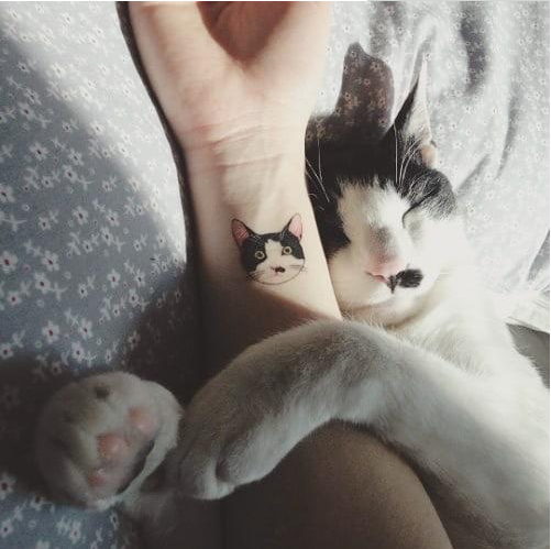 猫纹在身上合情合理,但给猫做纹身,你问过猫的感受吗?