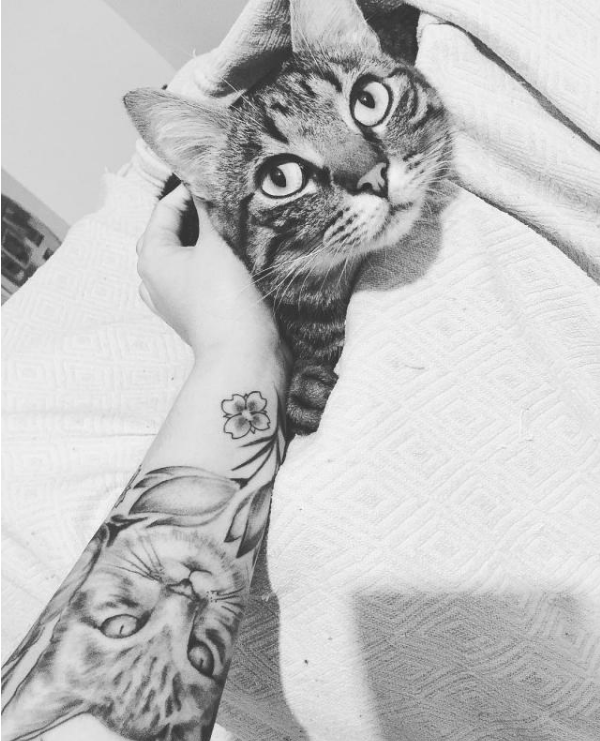 猫纹在身上合情合理,但给猫做纹身,你问过猫的感受吗?